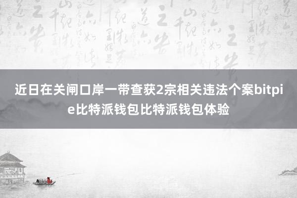 近日在关闸口岸一带查获2宗相关违法个案bitpie比特派钱包比特派钱包体验