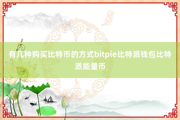 有几种购买比特币的方式bitpie比特派钱包比特派能量币