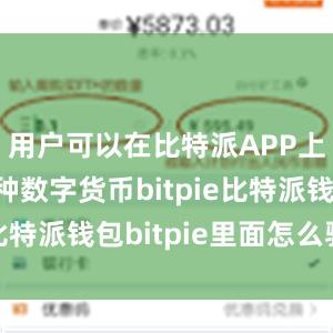 用户可以在比特派APP上交易多种数字货币bitpie比特派钱包bitpie里面怎么验证