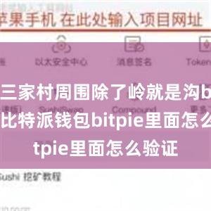 三家村周围除了岭就是沟bitpie比特派钱包bitpie里面怎么验证