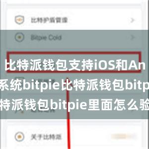 比特派钱包支持iOS和Android系统bitpie比特派钱包bitpie里面怎么验证