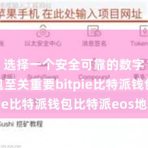 选择一个安全可靠的数字货币钱包至关重要bitpie比特派钱包比特派eos地址