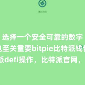 选择一个安全可靠的数字货币钱包至关重要bitpie比特派钱包比特派defi操作，比特派官网，比特派钱包，比特派下载