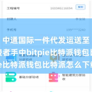 中通国际一件代发运送至当地消费者手中bitpie比特派钱包比特派怎么下载