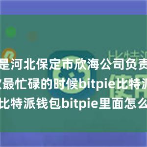 是河北保定市欣海公司负责人杨佩钦最忙碌的时候bitpie比特派钱包bitpie里面怎么验证