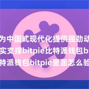 为中国式现代化提供强劲动力和坚实支撑bitpie比特派钱包bitpie里面怎么验证