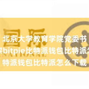 北京大学教育学院党委书记张晓黎bitpie比特派钱包比特派怎么下载