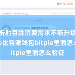 折射百姓消费需求不断升级bitpie比特派钱包bitpie里面怎么验证