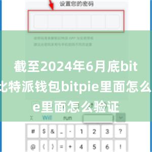 截至2024年6月底bitpie比特派钱包bitpie里面怎么验证