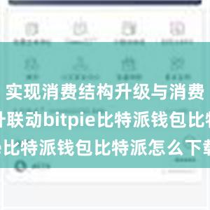 实现消费结构升级与消费品质提升联动bitpie比特派钱包比特派怎么下载