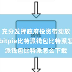 充分发挥政府投资带动放大效应bitpie比特派钱包比特派怎么下载