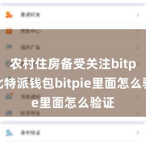 农村住房备受关注bitpie比特派钱包bitpie里面怎么验证