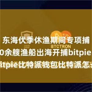 东海伏季休渔期间专项捕捞9600余艘渔船出海开捕bitpie比特派钱包比特派怎么下载