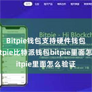 Bitpie钱包支持硬件钱包保护bitpie比特派钱包bitpie里面怎么验证