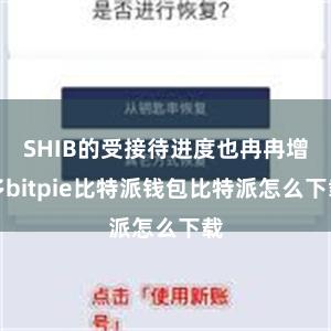 SHIB的受接待进度也冉冉增多bitpie比特派钱包比特派怎么下载