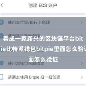 看成一家新兴的区块链平台bitpie比特派钱包bitpie里面怎么验证