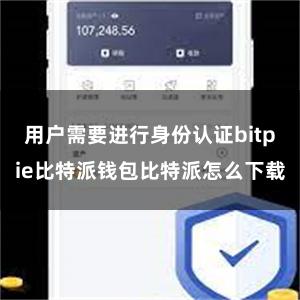 用户需要进行身份认证bitpie比特派钱包比特派怎么下载