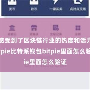 感受到了区块链行业的热度和活力bitpie比特派钱包bitpie里面怎么验证