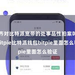 齐对比特派宽带的处事品性拍案叫绝bitpie比特派钱包bitpie里面怎么验证